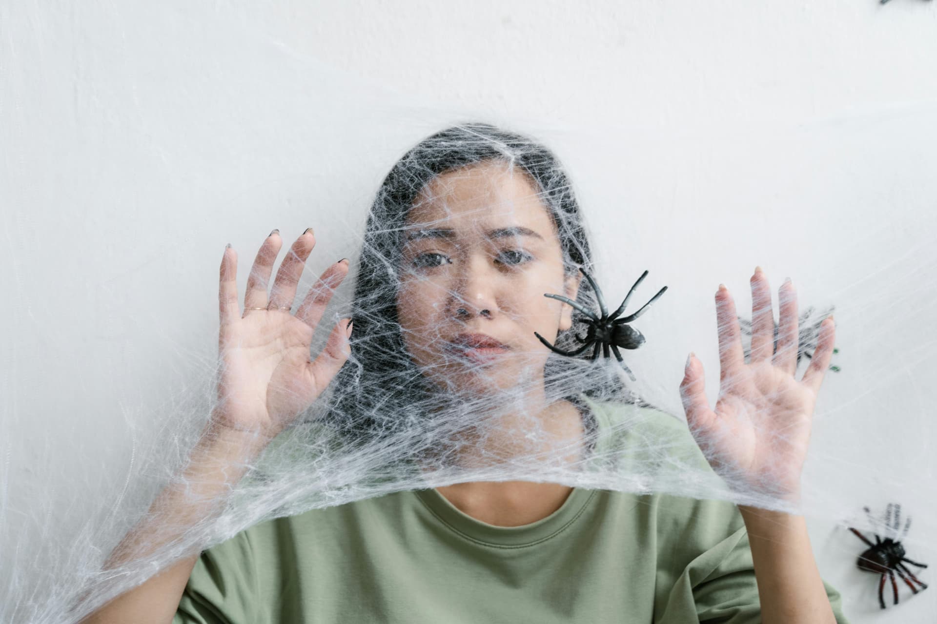 insect.jpg