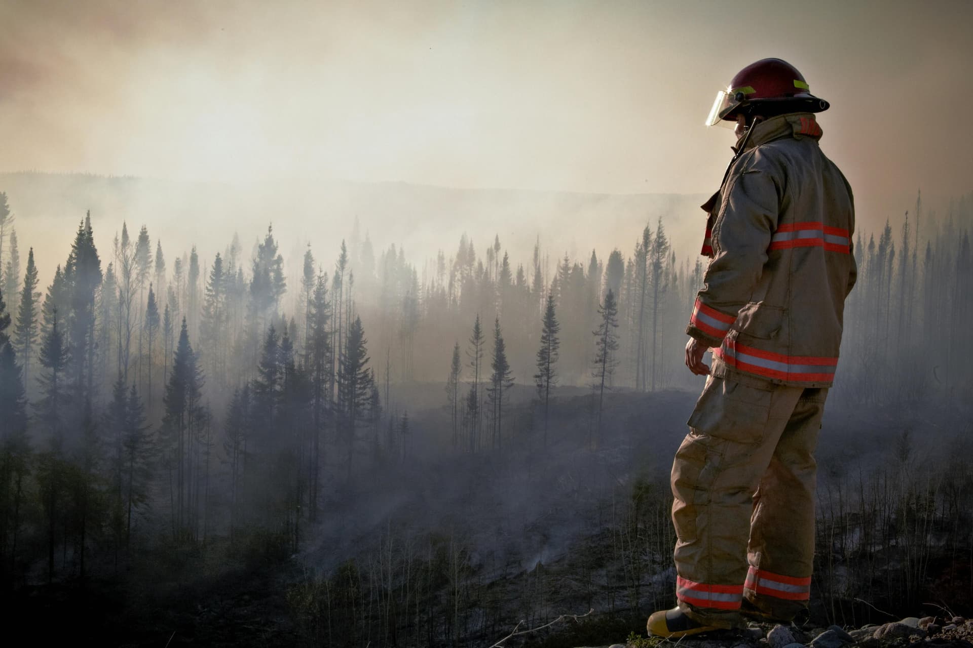 A Firefighter’s Trauma: Fiction That Explores PTSD and Recovery
